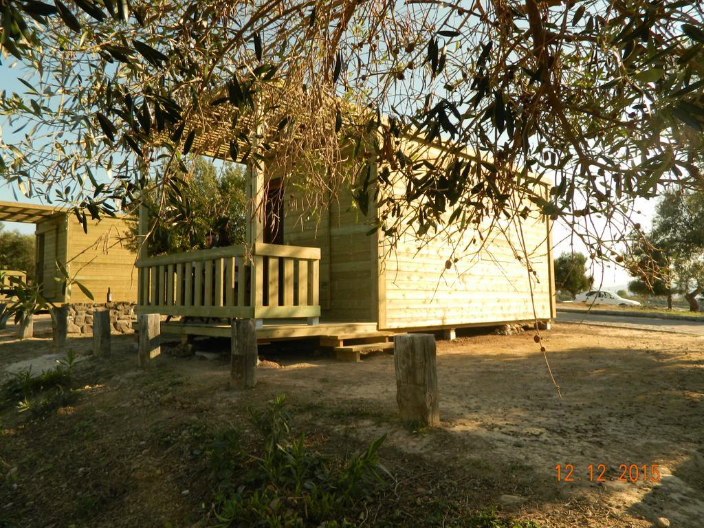 Tajo Del Aguila - Casa Rural A Альгар Номер фото
